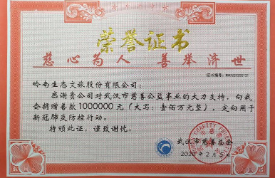 威斯尼斯人官方网站8567vip向武汉市慈善总会捐赠人民币100万元